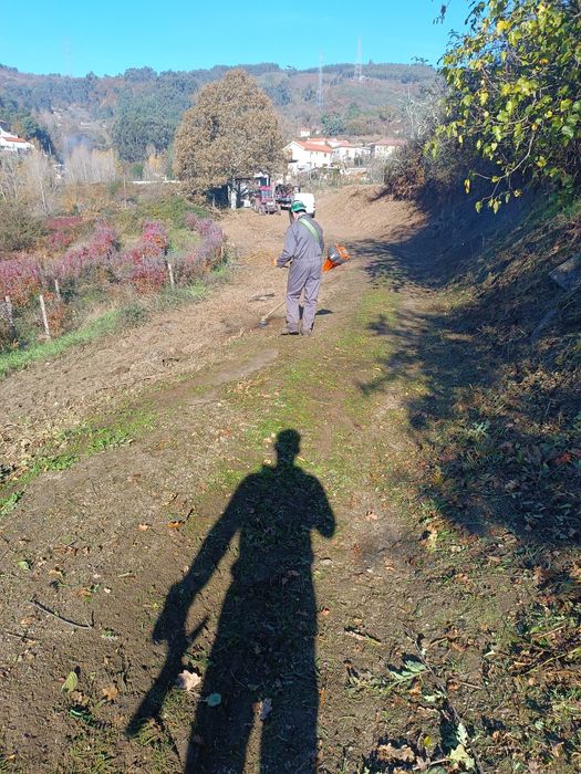 Trabalhos de Giratória/ entulhos/limpeza de terrenos/trabalhos agrícol