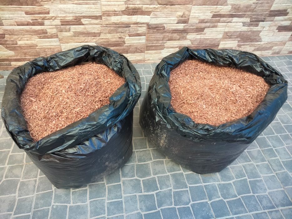 Aparas/serradura de madeira