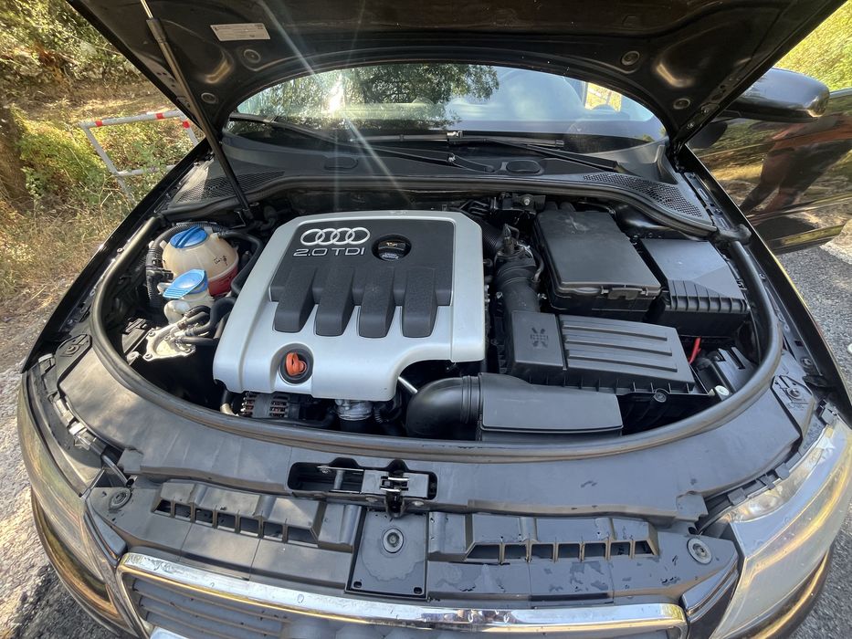 Audi a3 8p 2.0tdi