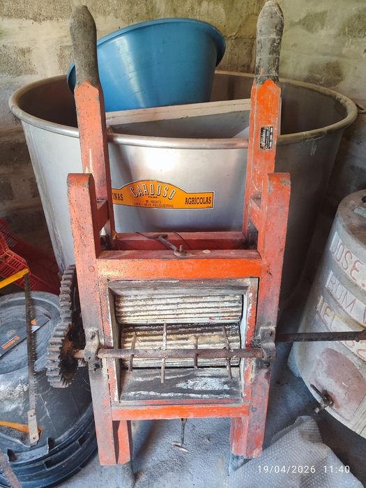 Lagar tina de inox prenca e relador