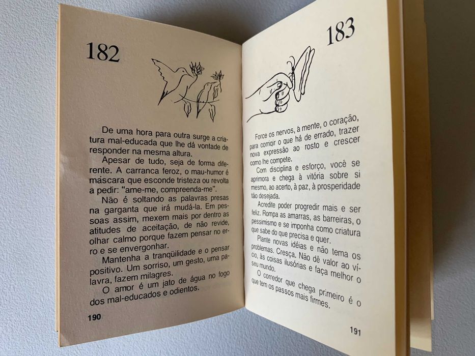 Otimismo Todo Dia, de Lourival Lopes