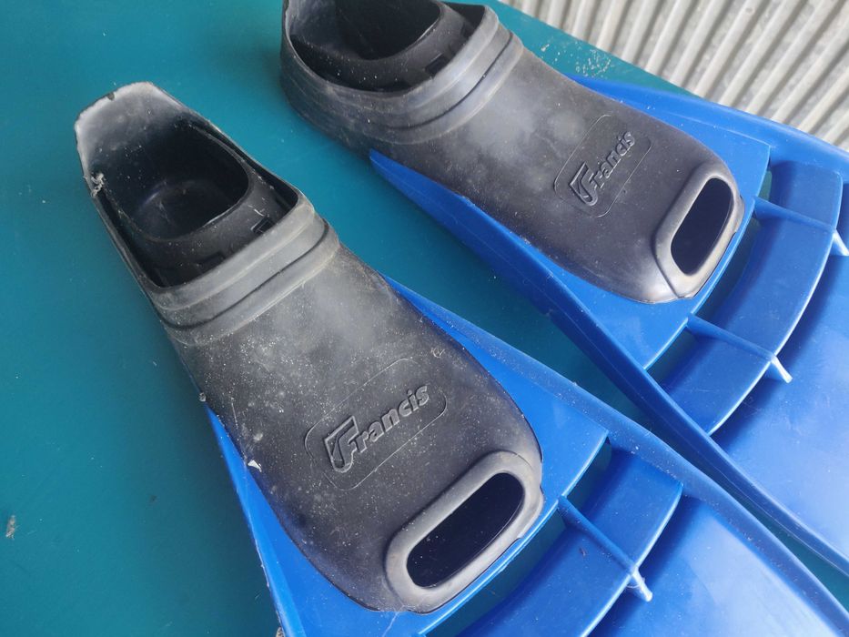 Barbatanas de adulto