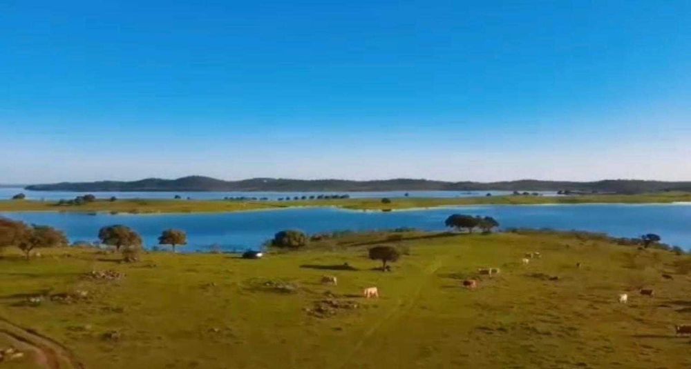 Terreno com 25ha e Frente de Água no Alqueva – Monsaraz