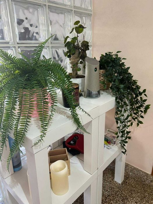 Aluguer de quarto no Porto