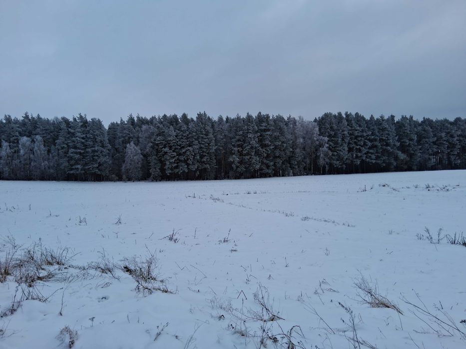 Działki budowlane