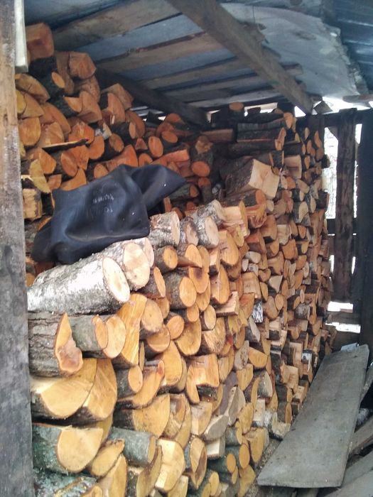 Witam mam na sprzedaż drzewo kominkowe brzoza dąb olcha sosna