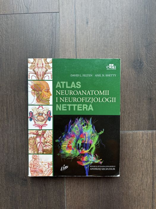 Neuroanatomia Nettera