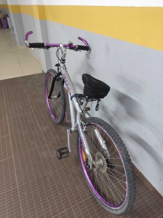 Bicicleta Trek Multi-Track – Prateada e Roxa