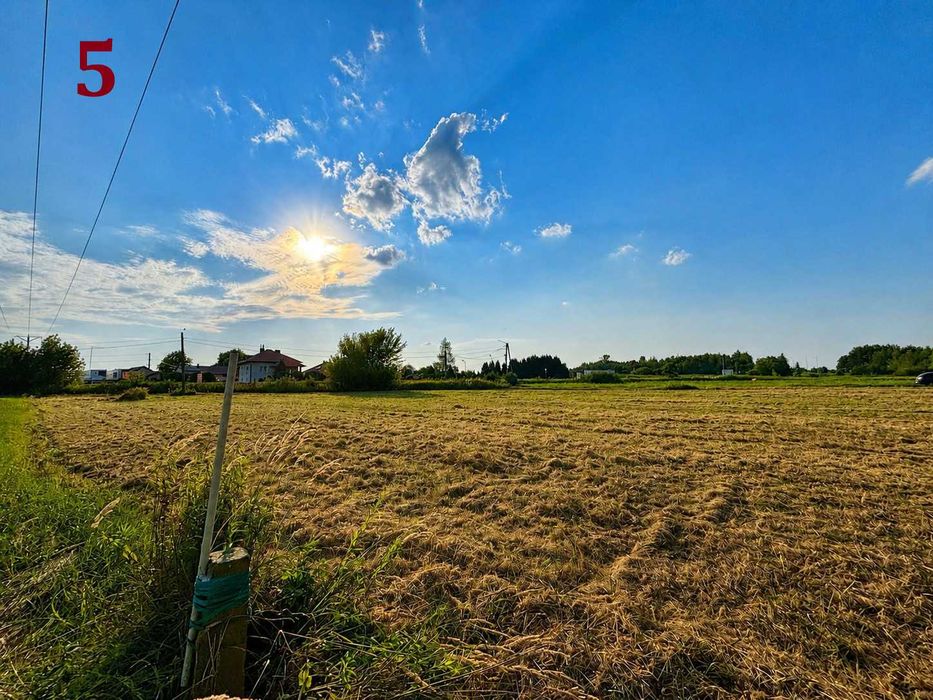 SPRZEDAM DZIAŁKĘ 2696 m² - Bezpośrednio od właściciela - Widok 5