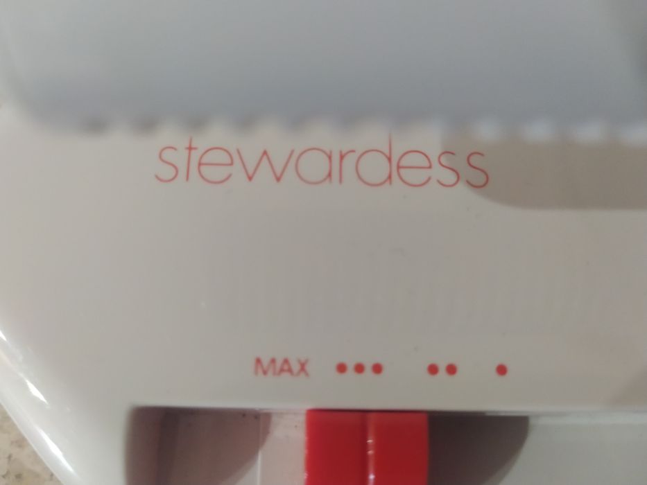 Ferro de passar de viagem