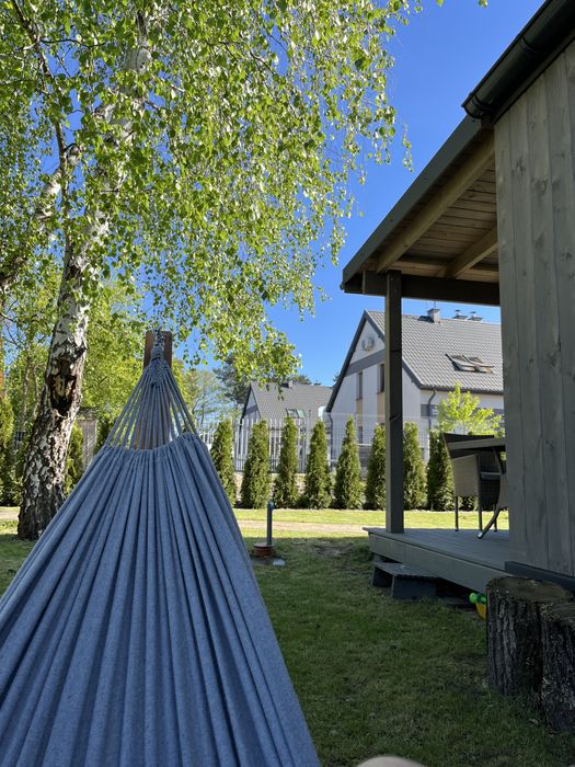 Okuninka Jezioro Białe, blisko plaży