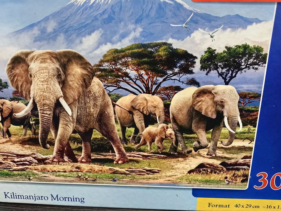 Puzzle, 300 elementów