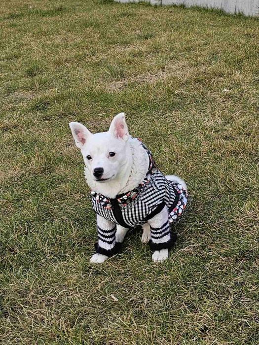 Маленькая девочка