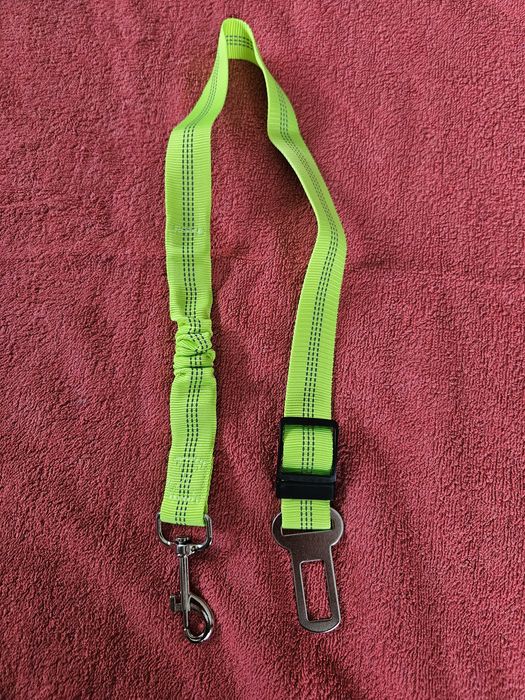 Jasnozielony Pas bezpieczeństwa dla psa