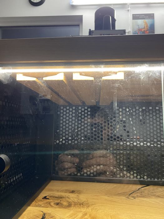 Barek witryna na alkohol metalowy debowy loft