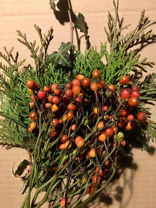Gałązki ozdobne z czerwonymi owockami