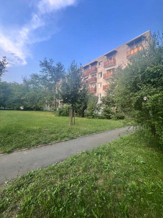 Zdjęcie 8