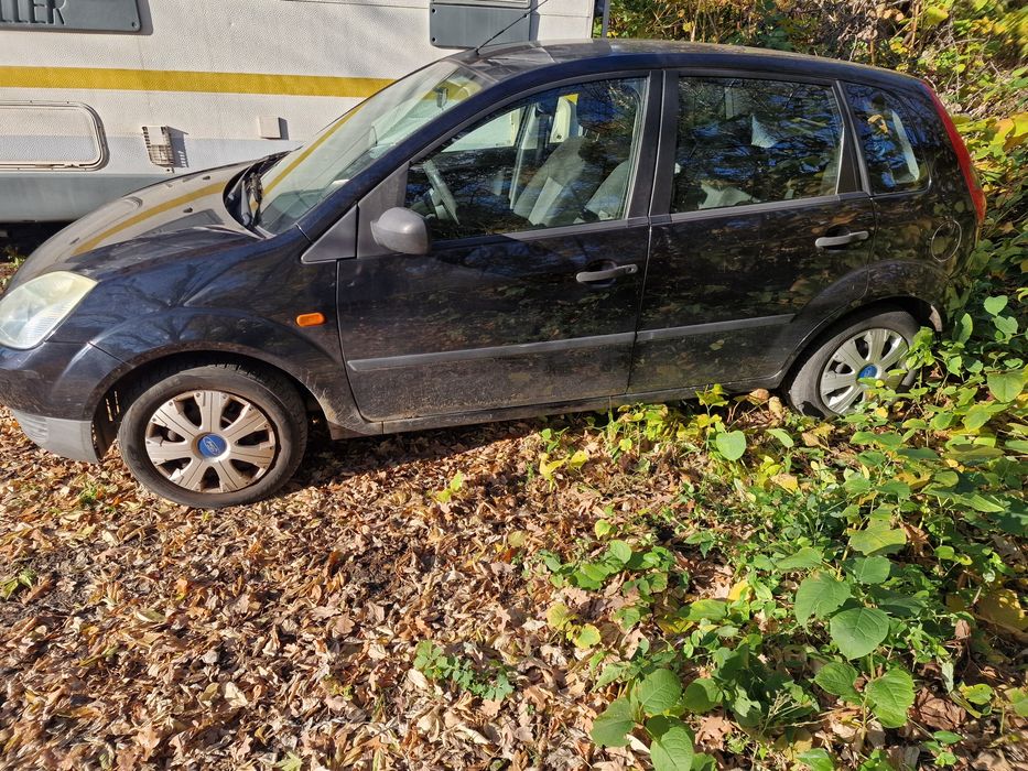 Ford Fiesta-benzyna