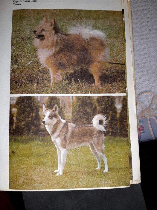 Атлас пород собак