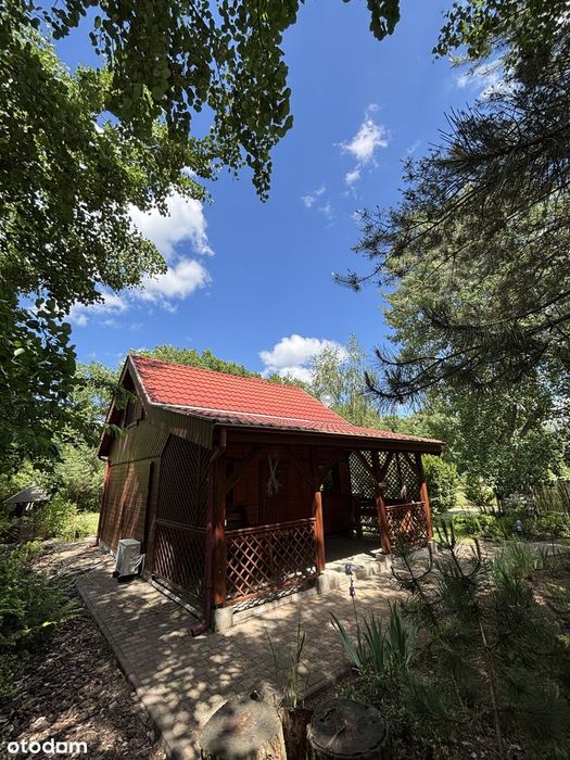 Zdjęcie 7