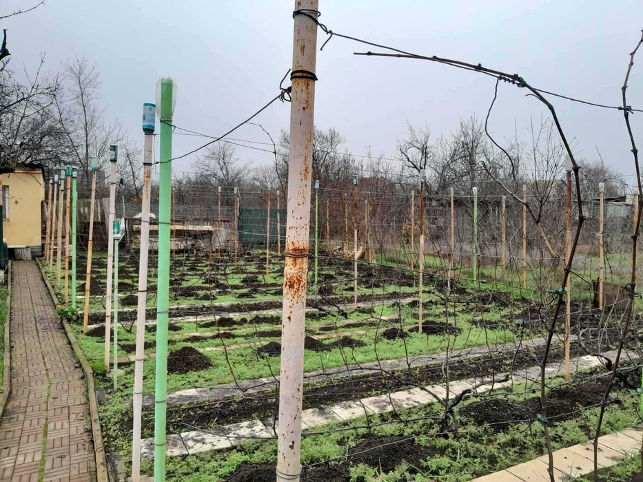 Продам дом-дачу в Светлом. р8