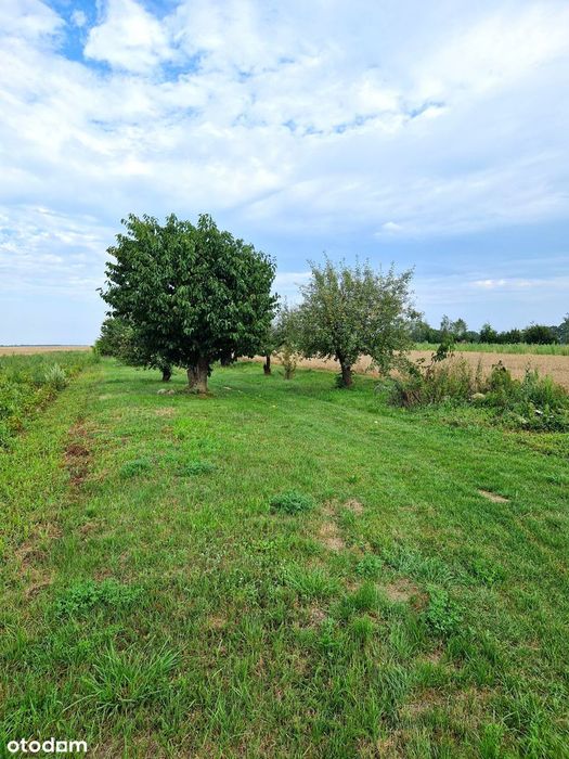 Atrakcyjne działki na skraju małej miejscowości, 4 km od Skwierzyny
