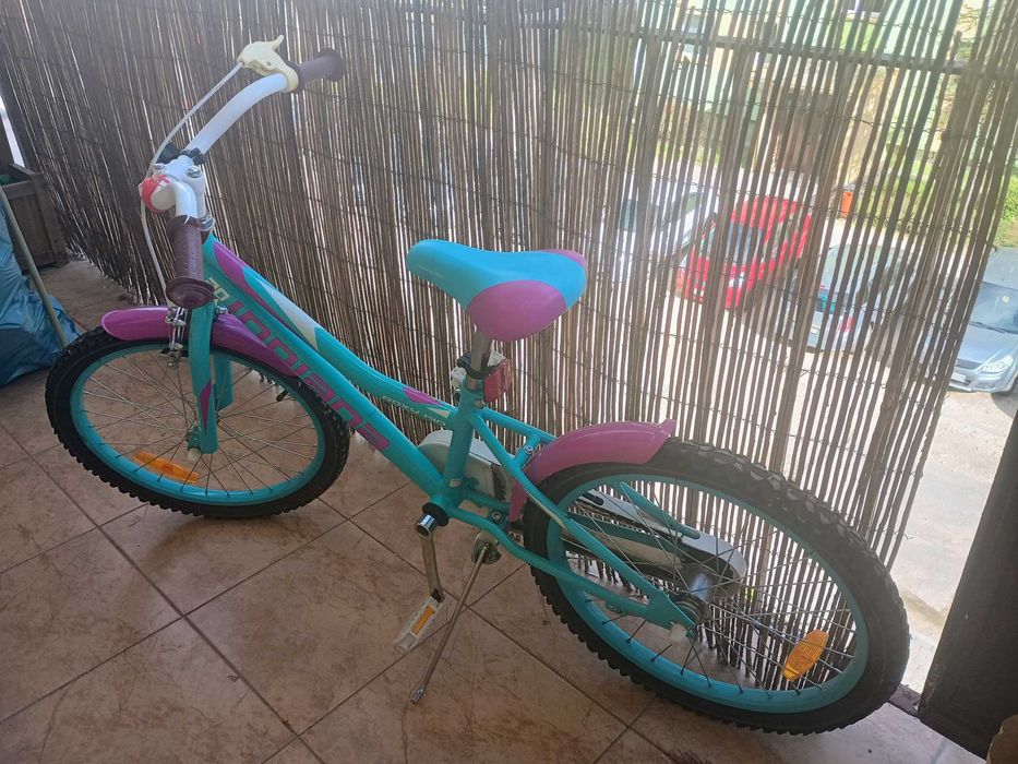 Rower Indiana opona 20"