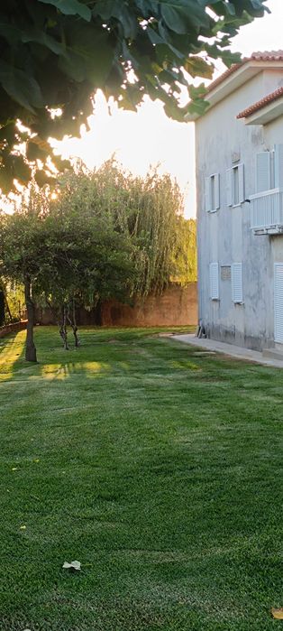Alugar apartamento T1 convertido em T2+1