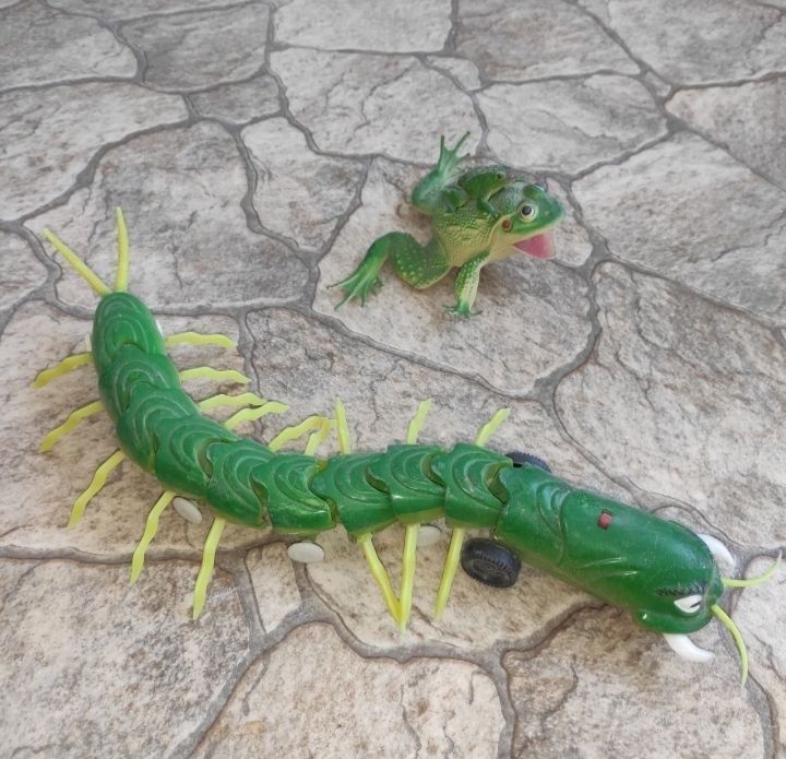 Лягушка - мама .