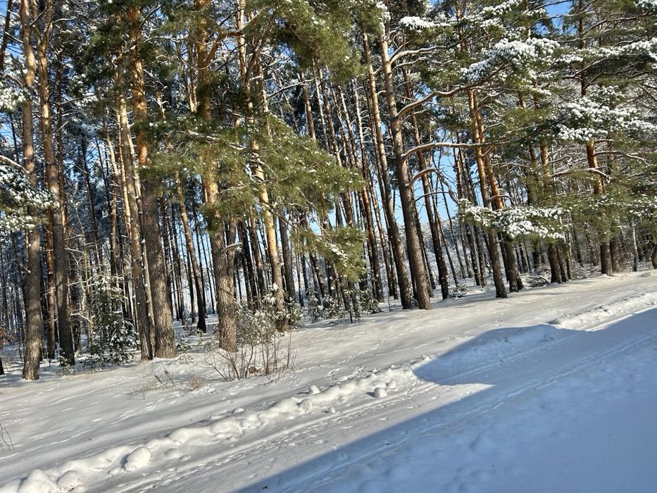 Продам будинок з озером біля лісу! 120 м2! Здвижівка!