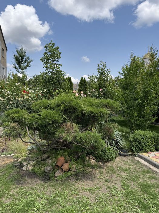 House by the address st. Bandery Stepana (area 130 m²) - Atlanta.ua - photo 5