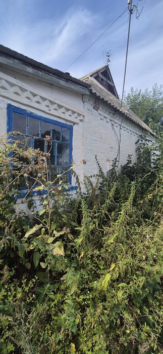 Будинок під реконструкцію. Мала вільшанка