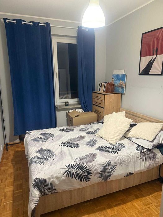 Mieszkanie, wynajem, mieszkanie dla studentów
