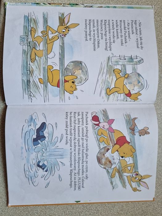 Kubuś Puchatek i Kłapouchy książka