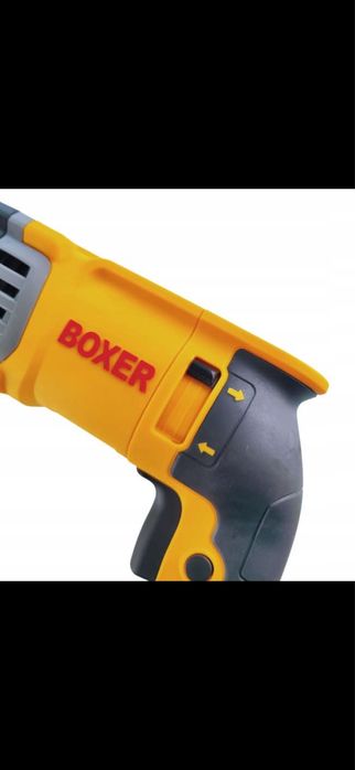 Sds boxer żółty
