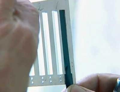 Języczki do głosów