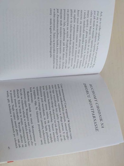 Pierwszy łyk piwa i inne drobne przyjemności Philippe Delerm