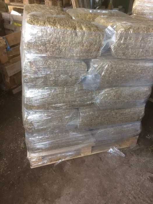 O Alimento Completo - Silagem de Milho