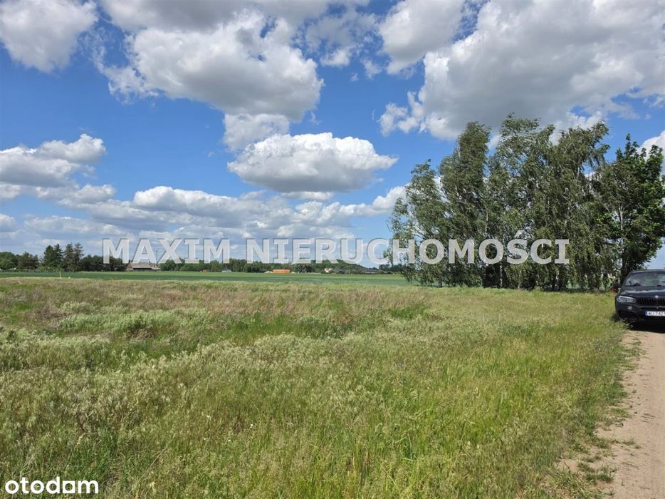 Działka 0,60 ha w Siedlinie k/Płońska - Widok 5