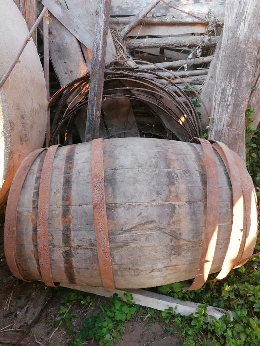 Bar antigo e Pipos antigos de vinho