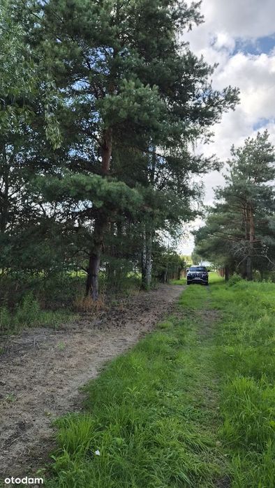 Piękna działka budowlana 1644 m² Kawęczynek Konstancin-Jeziorna - Więcej