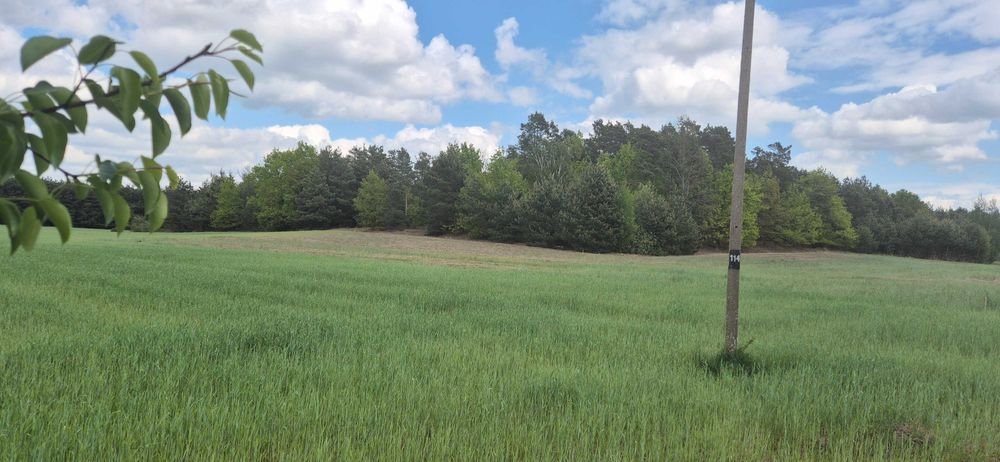 Działka budowlana 1330m2 Stary Witoszyn
