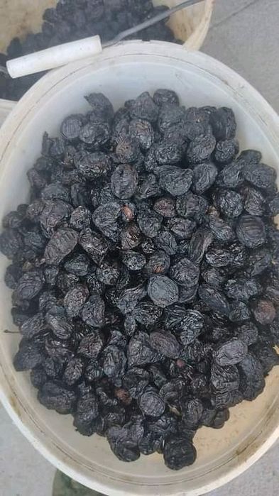 Клюква все лікувальне