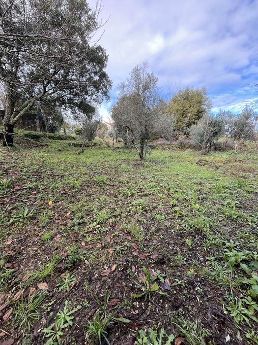 Lote terreno Vila de Rei