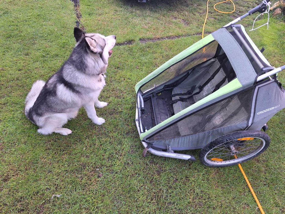 CROOZER KID 2- przyczepka rowerowa do transportu psa , dzieci lub innych rzeczy , używana , pokrowiec do naprawy, wymiany