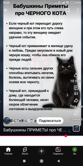 Кошенята бескоштовно
