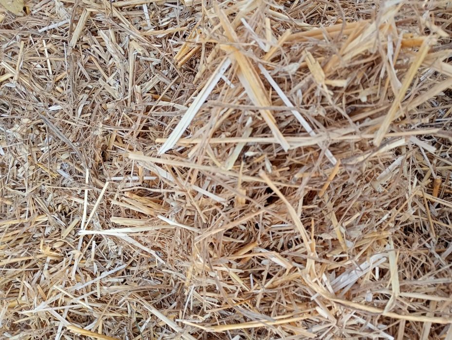 Продам солому в тюках