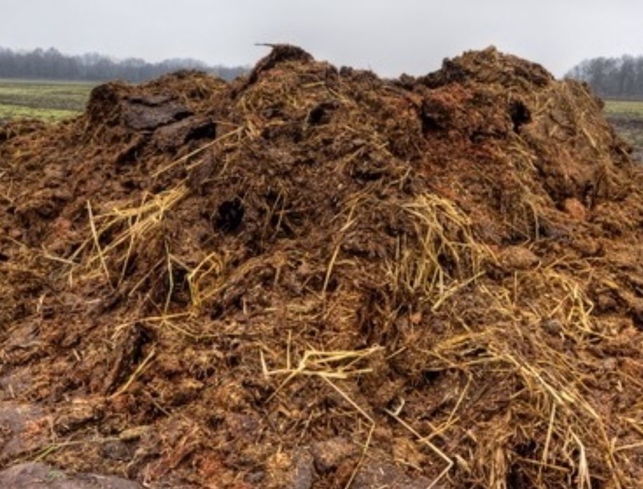 Oddam za darmo obornik koński