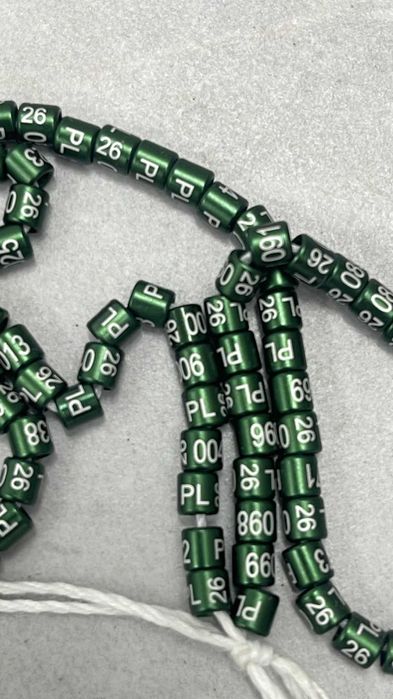 kanarek, obrączki na 2026 PL 26 001 kolejny numer do 100