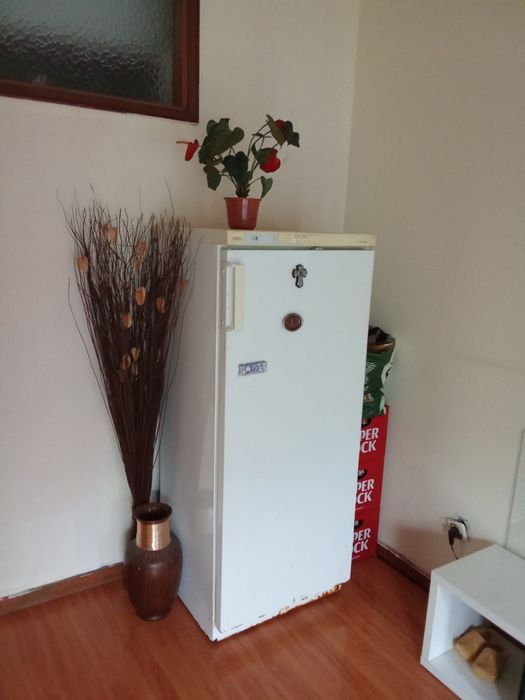 Vendo tudo em bom estado